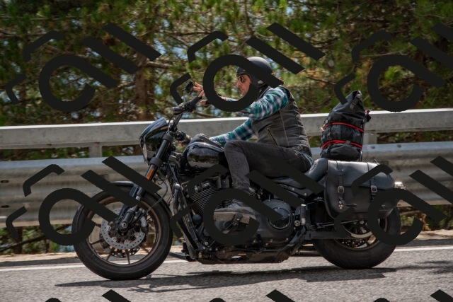 202508231529-DSC_7420_c4_