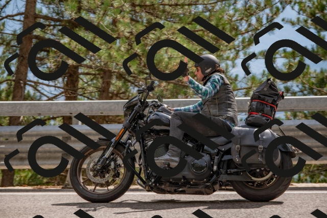 202508231529-DSC_7421_c4_