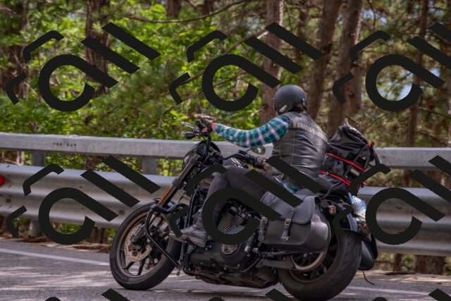 202508231529-DSC_7422_c4_