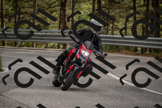 202508231531-DSC_7424_c4_