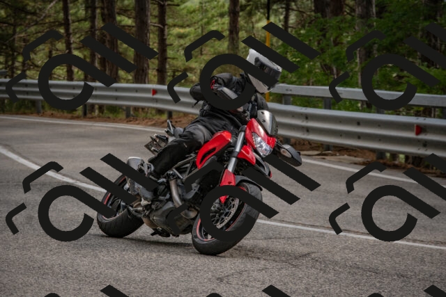 202508231531-DSC_7425_c4_