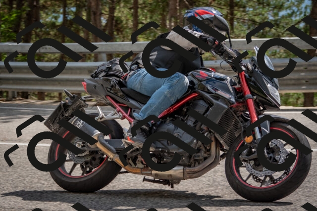 202508231531-DSC_7430_c4_