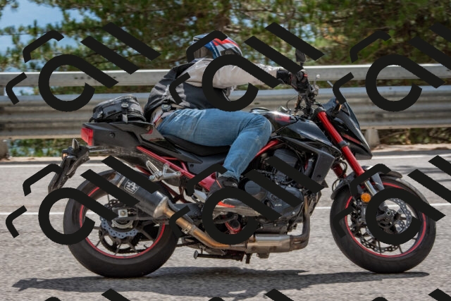 202508231531-DSC_7431_c4_