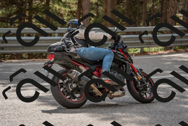 202508231531-DSC_7432_c4_