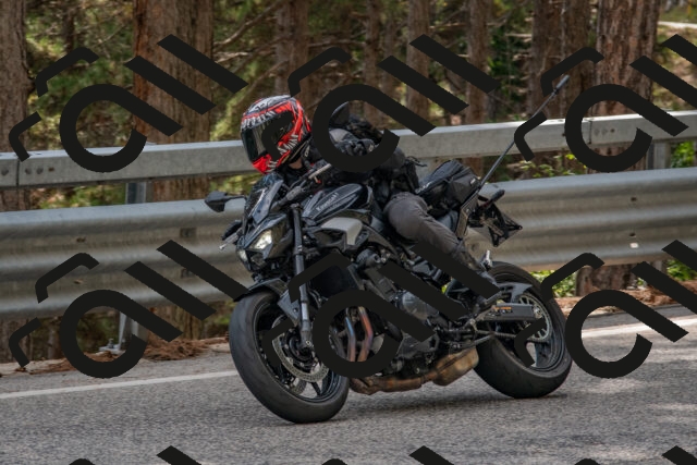 202508231532-DSC_7433_c4_