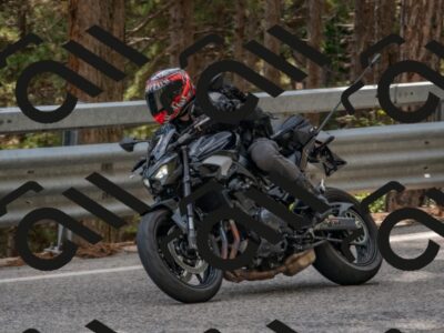 202508231532-DSC_7433_c4_