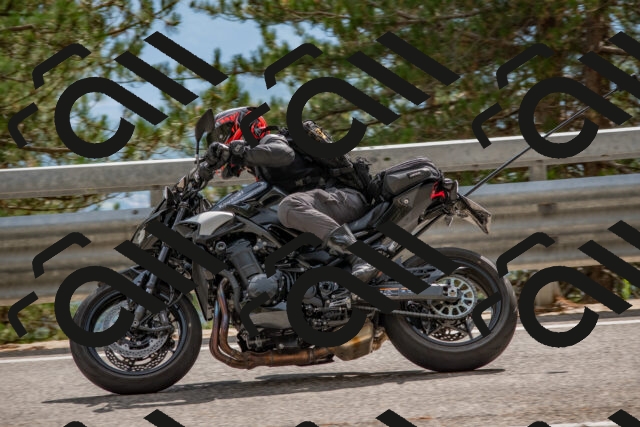 202508231532-DSC_7435_c4_