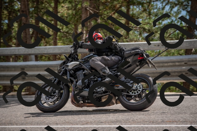 202508231532-DSC_7436_c4_