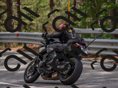 202508231532-DSC_7437_c4_