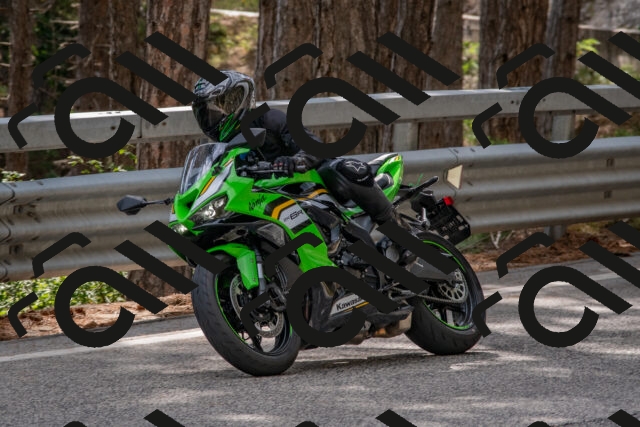 202508231533-DSC_7438_c4_