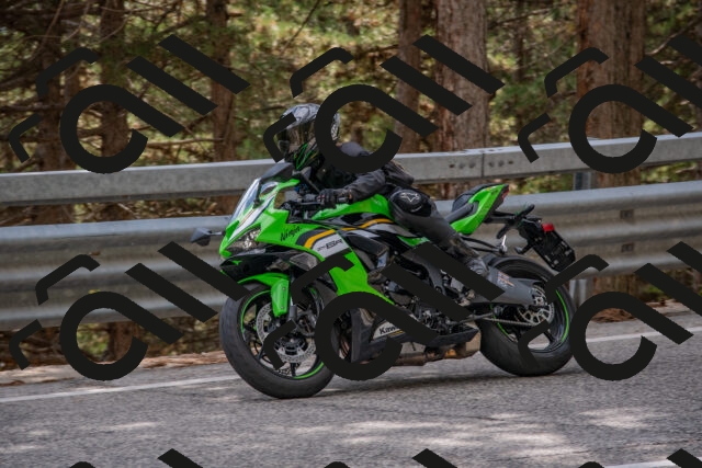 202508231533-DSC_7439_c4_