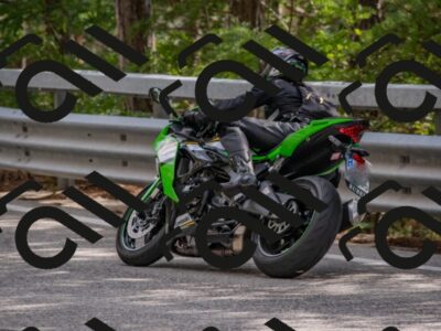 202508231533-DSC_7442_c4_