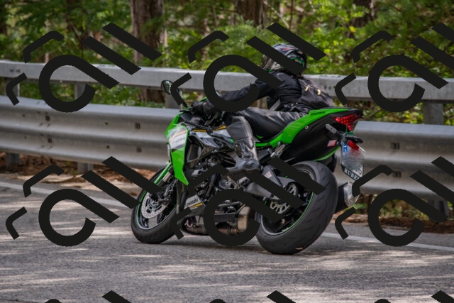 202508231533-DSC_7442_c4_