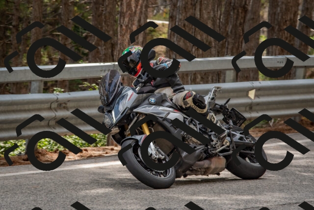 202508231537-DSC_7444_c4_