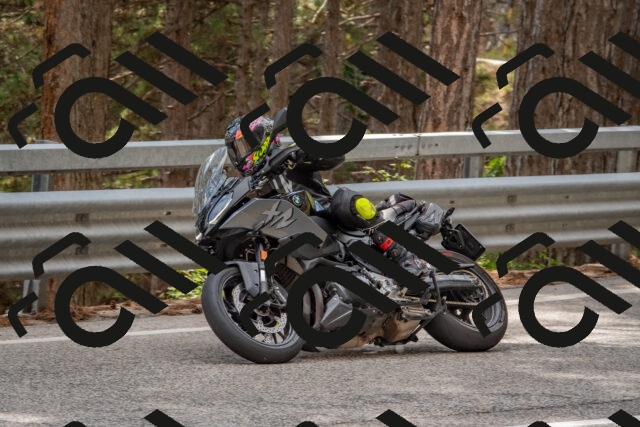 202508231537-DSC_7446_c4_