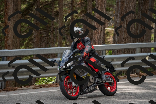 202508231538-DSC_7455_c4_