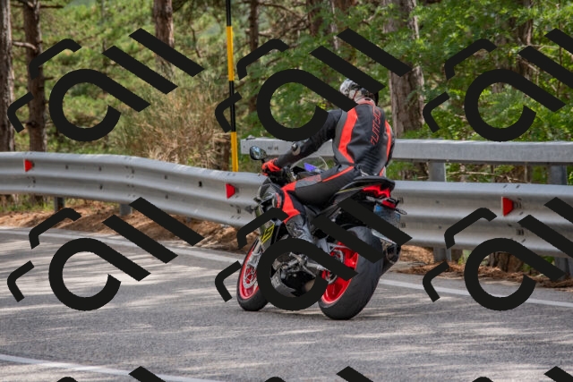 202508231539-DSC_7458_c4_