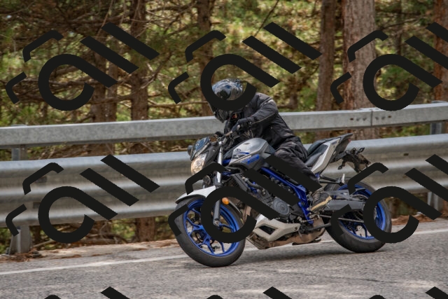 202508231539-DSC_7460_c4_