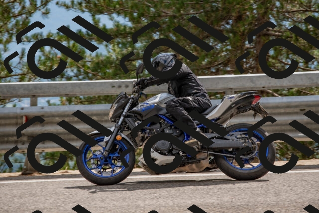 202508231539-DSC_7461_c4_