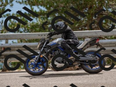 202508231539-DSC_7461_c4_