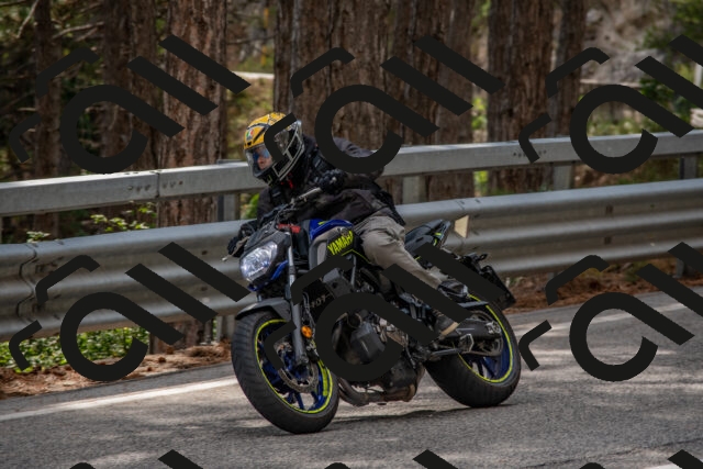 202508231539-DSC_7463_c4_