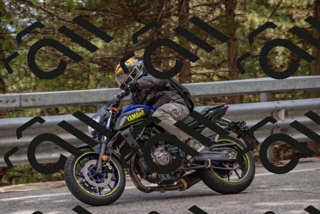 202508231539-DSC_7464_c4_