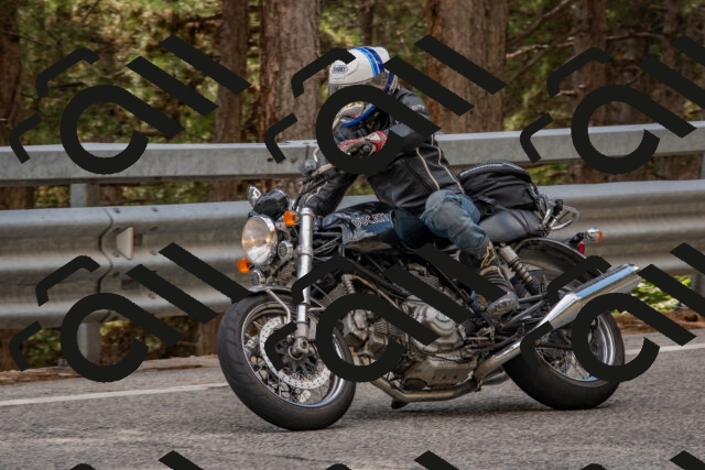 202508231540-DSC_7466_c4_