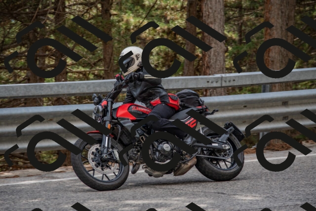 202508231540-DSC_7469_c4_