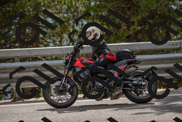 202508231540-DSC_7470_c4_