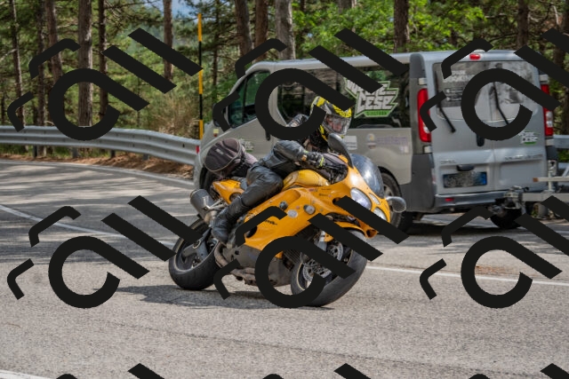 202508231541-DSC_7474_c4_