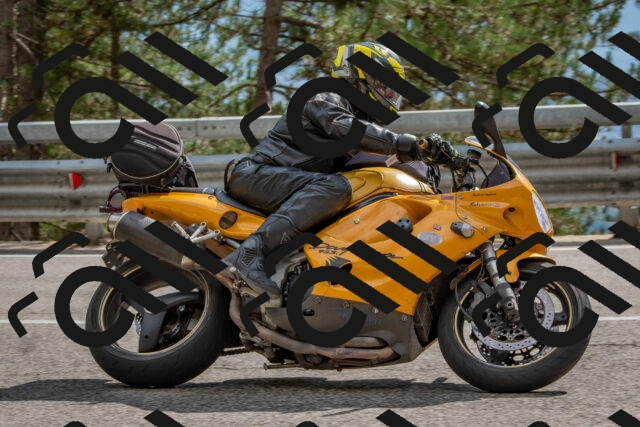 202508231541-DSC_7475_c4_