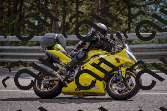 202508231541-DSC_7478_c4_