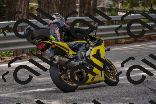 202508231541-DSC_7480_c4_