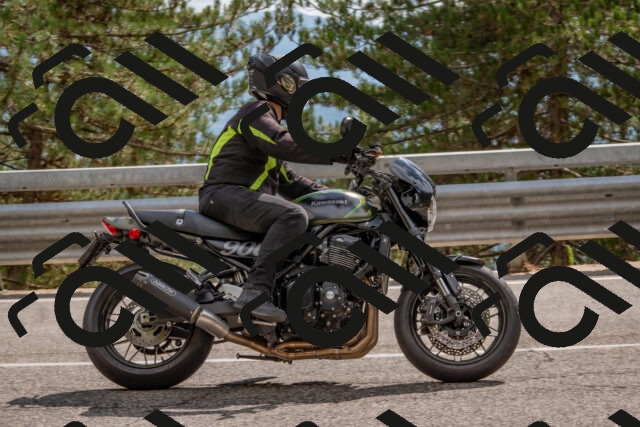 202508231542-DSC_7489_c4_