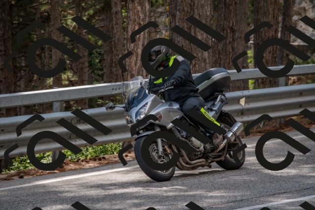 202508231550-DSC_7516_c4_