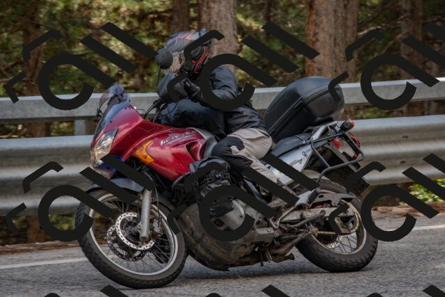 202508231550-DSC_7521_c4_