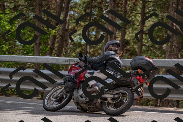 202508231550-DSC_7524_c4_