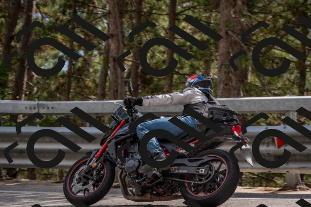 202508231604-DSC_7548_c4_