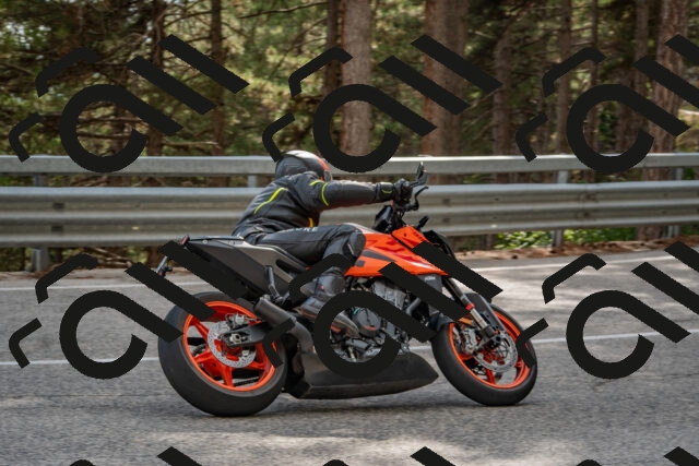 202508231614-DSC_7572_c4_