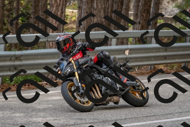 202508231620-DSC_7582_c4_