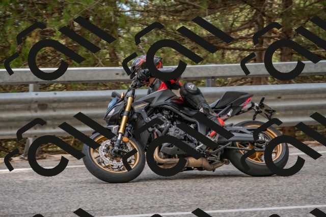 202508231620-DSC_7583_c4_