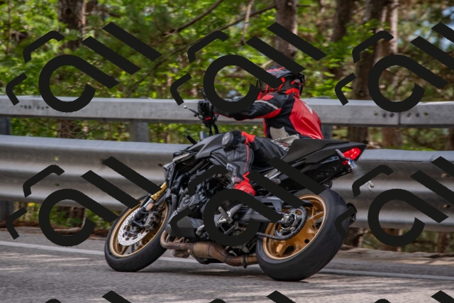 202508231620-DSC_7585_c4_