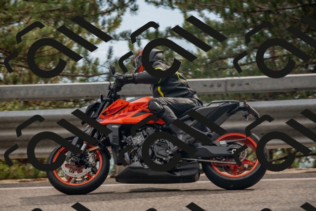 202508231620-DSC_7588_c4_