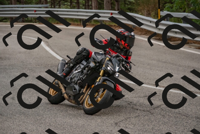 202508231629-DSC_7634_c4_