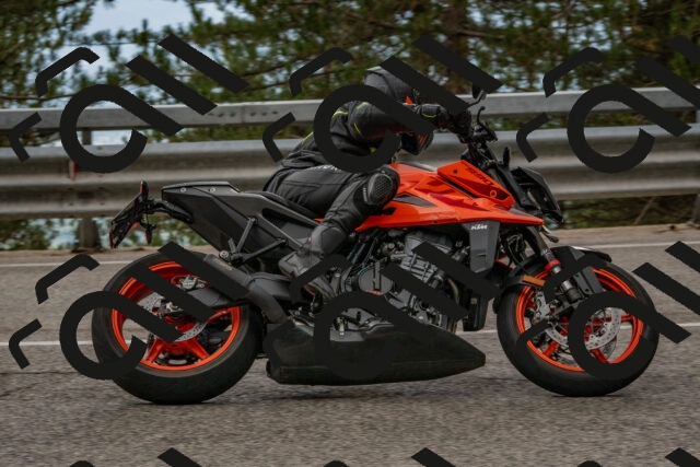 202508231629-DSC_7642_c4_