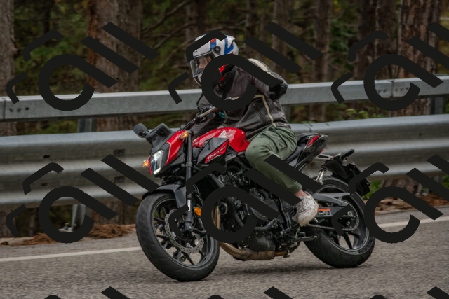 202508231643-DSC_7667_c4_