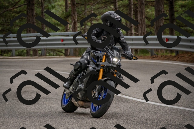 202508231644-DSC_7671_c4_