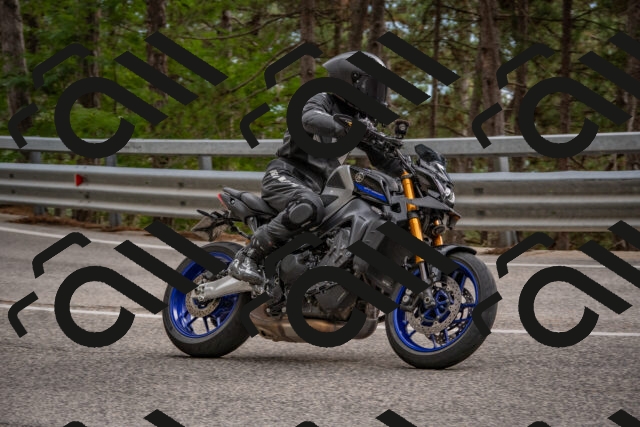 202508231644-DSC_7672_c4_