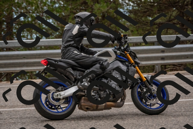 202508231644-DSC_7673_c4_