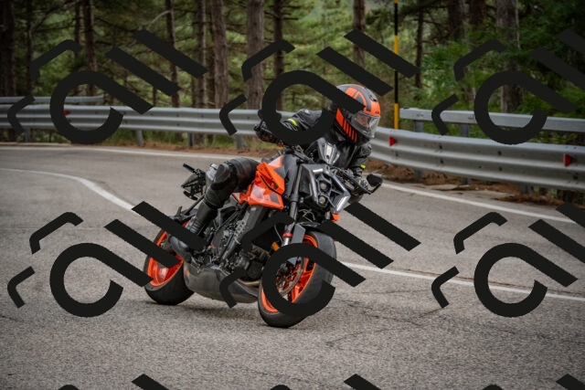 202508231645-DSC_7675_c4_